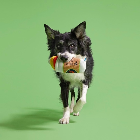 NEW Bark Cold Boo Latte Toy - Picture 3 of 6